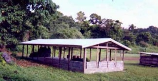 Construction of School Building